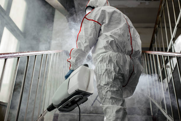 Best Comprehensive Air Testing for Mold Contaminants  in Wyong, MI